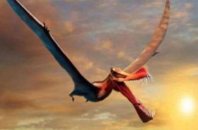 التنين الطائر  كان يجوب جنوب الأرض وشمالها 