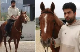 يرفض دفع غرامة لدخوله السوق ممتطياً حصانه!