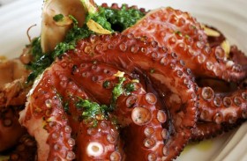 أخطبوط عالق في حلق مريض