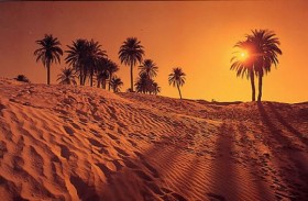 مبادرة رمزية للتوعية على مكافحة التلوث البيئي في صحراء المغرب 