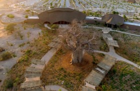 الشارقة للإذاعة والتلفزيون تطلق العرض الأول من الفيلم الوثائقي سفاري الشارقة