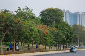 بلدية مدينة أبوظبي تنظم ورشة توعوية لتحفيز أفراد المجتمع على ممارسة رياضة المشي