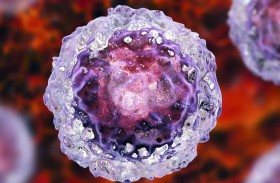 بروتين يمنع الخلايا الجذعية من الانقسام