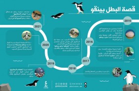 حديقة الحيوانات بالعين تنقذ بطريقاً من نوع هومبولت 