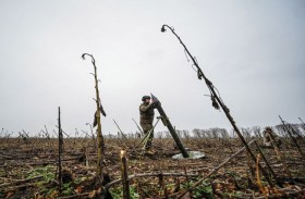 روسيا تتهم أوكرانيا بقصف محطة زابوريجيا النووية 