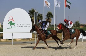 اللجنة المنظمة : مضمار نادي العين للفروسية جاهز لانطلاقة الموسم الجديد لسباقات الخيول