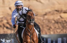 مهرجان الفروسية لالتقاط الأوتاد ينطلق غدا على ميادين أكاديمية بوذيب