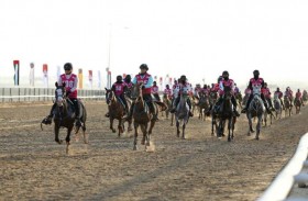 بتوجيهات منصور بن زايد .. مهرجان محمد بن زايد للقدرة في الوثبة ينطلق اليوم
