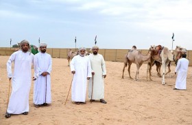مشاركون يشيدون بدور «مهرجان محمد بن زايد لسباقات الهجن» في دعم الملاك وزيادة حركة البيع والشراء 