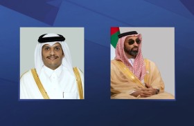 رئيس مجلس الوزراء القطري يستقبل طحنون بن زايد