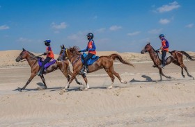 أبوظبي تستضيف النسخة الثانية لبطولة المجموعة السابعة للقدرة