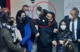 لم شمل قط أبحر ضمن هجرة غير شرعية 