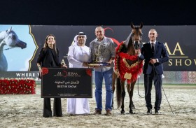 برعاية فاطمة بنت هزاع بن زايد .. ختام متميز لبطولة الشراع الدولية لجمال الخيل العربية