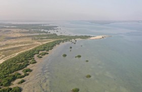 أميركية الشارقة والإمارات للطبيعة تعززان التعاون في الأبحاث البيئية وتدريب الطلاب