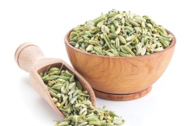 فوائد الشمر للحامل