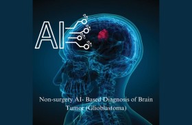 بحث بأمريكية رأس الخيمة يكشف رؤى جديدة في علاج أورام المخ