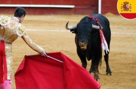إسبانيا تلغي الجائزة الوطنية لمصارعة الثيران