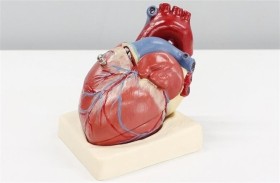 كورونا يسبب ندوباً لعضلة القلب