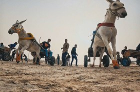 مونتاج منصة الشارقة للأفلام في مهرجان إيمامي آرت للأفلام التجريبية