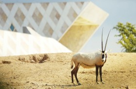 حديقة الحيوانات بالعين تحافظ على الأنواع المهددة بالانقراض