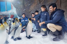 صيف حافل بتجارب التعلم والاستكشاف في سي وورلد جزيرة ياس، أبوظبي