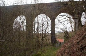 ينهي حياته بسبب أغنية تتردد في رأسه