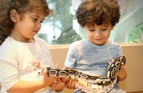 تنظيم المخيم الصيفي الأكثر استدامة للأطفال لمدة ستة أسابيع