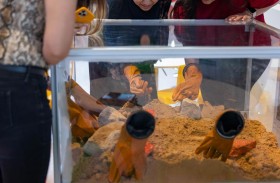 «الخوانيج ووك» تطلق مخيما تعليميا للأطفال عن كوكب المريخ