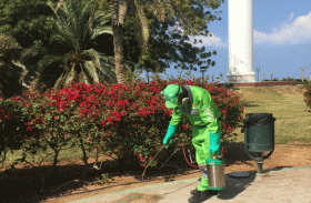 جهود حثيثة لتدوير في مكافحة آفات الصحة العامة 