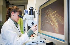 رسم أول خريطة لخلايا البعوض المناعية