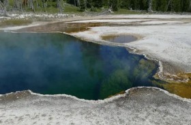 قطعة من قدم بشرية في متنزه 