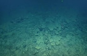 بعمق 1000 متر.. مفاجأة في قاع المحيط