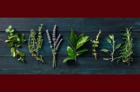 نباتات للتخلُص من الحشرات المنزلية