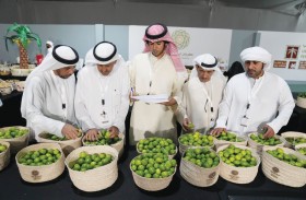 مهرجان ليوا للرطب بدورته الـ 21 ينطلق 14 يوليو بتنظيم هيئة أبوظبي للتراث