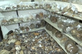 جمع الأحجار.. هواية تتحول إلى كنز ثمين في غزة