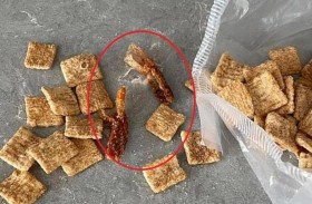 مفاجأة قاسية داخل علبة المقرمشات