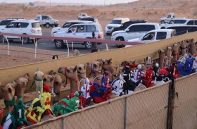 تواصل منافسات سباقات الهجن بميدان الذيد 