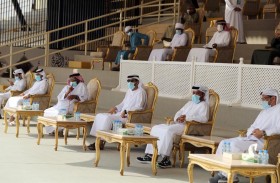 الثلاثاء والأربعاء القادمان.. تسجيل المطايا المشاركة في شوط البيرق - المحليات