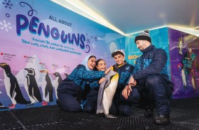 سكي دبي تكشف عن التجربة الأروع في عالم البطاريق 