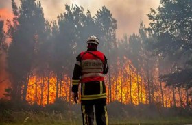 رجل إطفاء أشعل حريق غابات