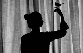 فتح باب المشاركة في (الشارقة وجهة نظر) للتصوير الفوتوغرافي