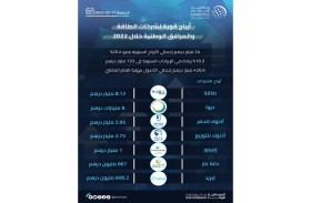 24 مليار درهم أرباح شركات الطاقة والمرافق المُدرجة خلال 2022.. وإيراداتها تنمو 19 %
