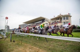 11 خيلا تتنافس اليوم في المحطة البلجيكية لكأس رئيس الدولة للخيول العربية