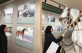الأرشيف والمكتبة الوطنية يخصص ركناً للخيول في منصة «ذاكرة الوطن» بمهرجان الشيخ زايد 2025–2026