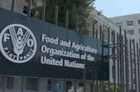 الفاو: أسعار الغذاء العالمية ارتفعت لأعلى مستوى في أكثر من عامين في يوليو 