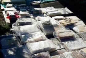 العثور على كنز من الكتب النادرة المسروقة