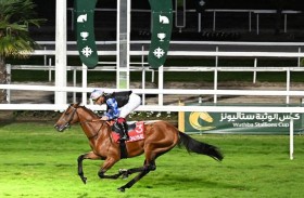 اليوم.. سباق كأس زايد ينطلق في فرنسا بمشاركة 7 خيول