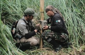 مبادلة تحتفل بيوم البيئة العالمي وتسلط الضوء على جهودها لحماية البيئة محلياً وعالمياً