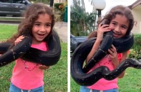 طفلة لفّت ثعبانًا ضخمًا حول رقبتها 