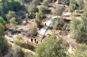 بلدية دبي تُخصص مساراً للمشي بطول يقارب 10 كم في حديقة مشرف الوطنية الأول من نوعه في قلب دبي